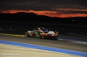 Italian-Endurance.com - PROLOGUE WEC 2016 - PLM_6785-2